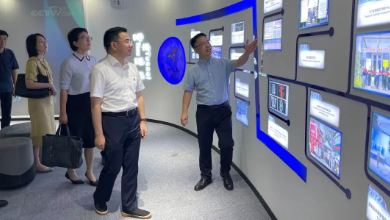 嘉興市政府副市長倪滬平一行蒞臨健培科技考察調(diào)研